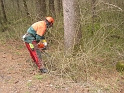 bild (21)